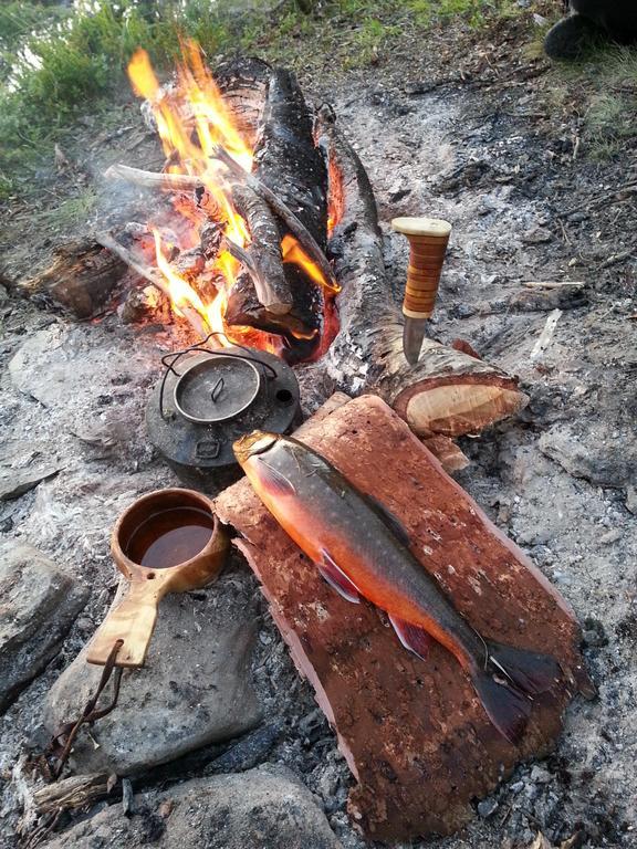 Pilgrimshotellet - South Lapland Gaddede ภายนอก รูปภาพ