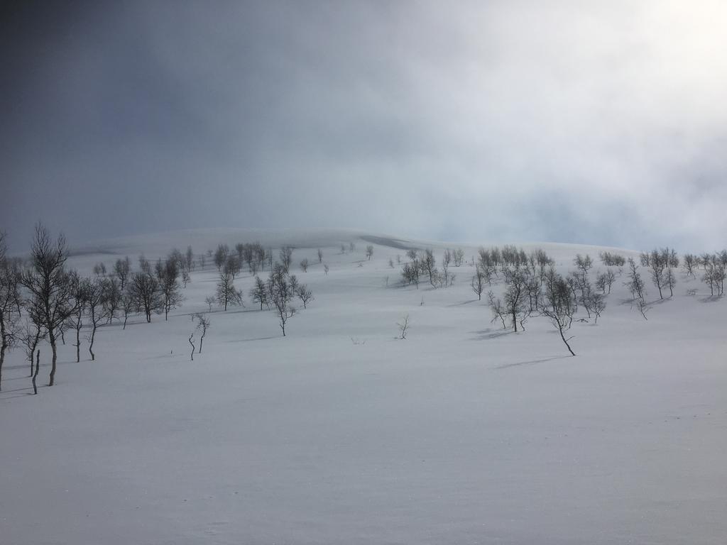 Pilgrimshotellet - South Lapland Gaddede ภายนอก รูปภาพ